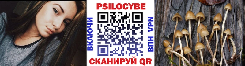 Псилоцибиновые грибы ЛСД  Ростов 